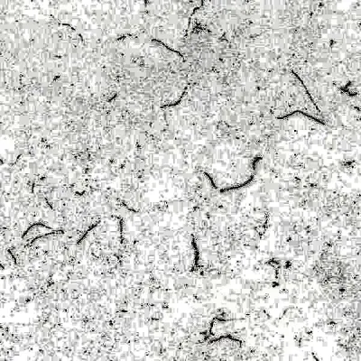 Cararra Prima Gold quartz countertop - Home Design Cabinetry, Lawrenceville GA